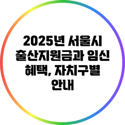 2025년 서울시 출산지원금과 임신 혜택, 자치구별 안내