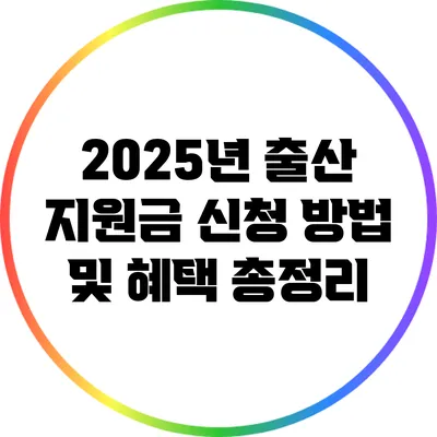 2025년 출산 지원금 신청 방법 및 혜택 총정리