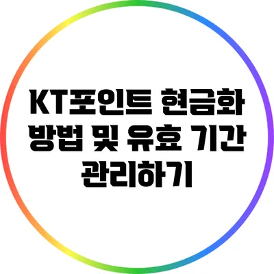 KT포인트 현금화 방법 및 유효 기간 관리하기