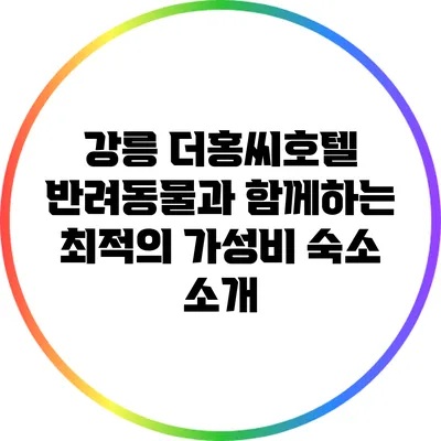 강릉 더홍씨호텔: 반려동물과 함께하는 최적의 가성비 숙소 소개