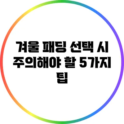 겨울 패딩 선택 시 주의해야 할 5가지 팁