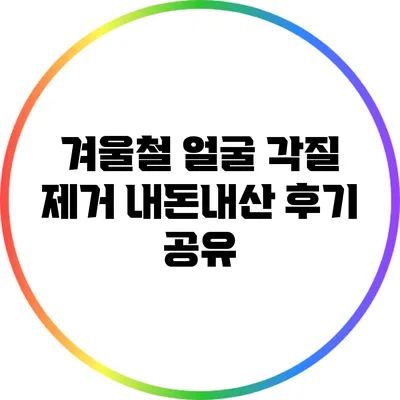 겨울철 얼굴 각질 제거: 내돈내산 후기 공유