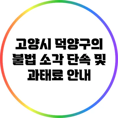고양시 덕양구의 불법 소각 단속 및 과태료 안내