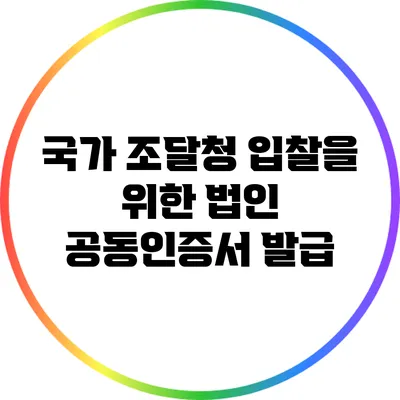 국가 조달청 입찰을 위한 법인 공동인증서 발급