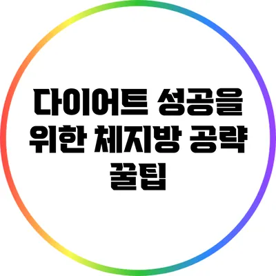 다이어트 성공을 위한 체지방 공략 꿀팁