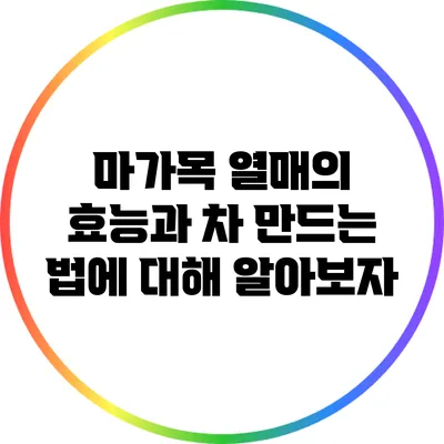 마가목 열매의 효능과 차 만드는 법에 대해 알아보자