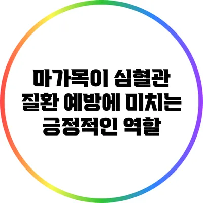 마가목이 심혈관 질환 예방에 미치는 긍정적인 역할