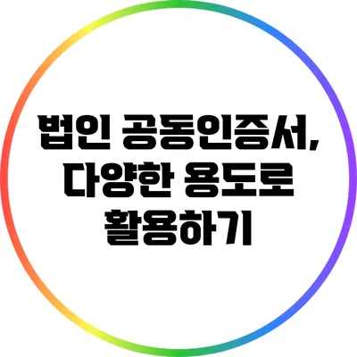법인 공동인증서, 다양한 용도로 활용하기
