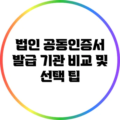 법인 공동인증서 발급 기관 비교 및 선택 팁