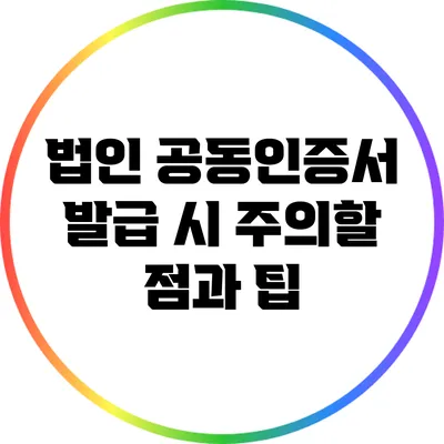 법인 공동인증서 발급 시 주의할 점과 팁