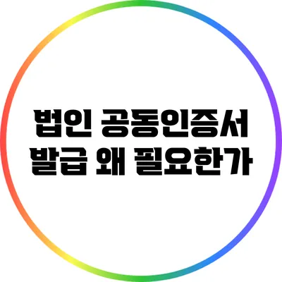 법인 공동인증서 발급: 왜 필요한가?