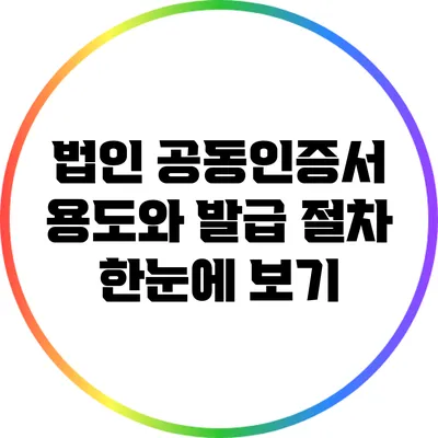 법인 공동인증서 용도와 발급 절차 한눈에 보기