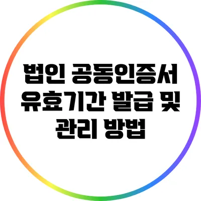 법인 공동인증서 유효기간: 발급 및 관리 방법