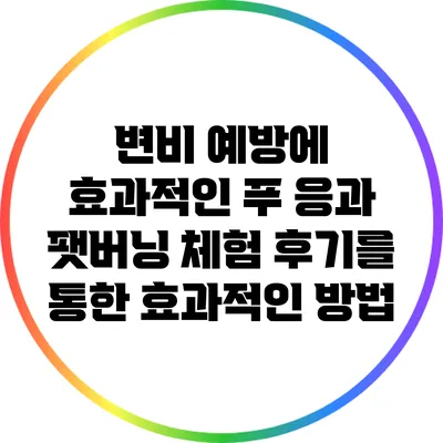 변비 예방에 효과적인 푸 응과 팻버닝: 체험 후기를 통한 효과적인 방법