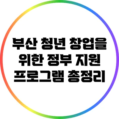 부산 청년 창업을 위한 정부 지원 프로그램 총정리
