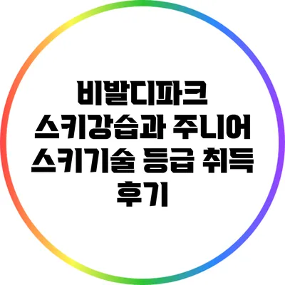 비발디파크 스키강습과 주니어 스키기술 등급 취득 후기