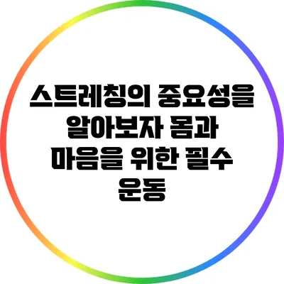 스트레칭의 중요성을 알아보자: 몸과 마음을 위한 필수 운동