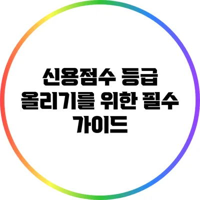 신용점수 등급 올리기를 위한 필수 가이드