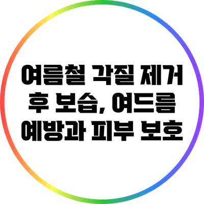 여름철 각질 제거 후 보습, 여드름 예방과 피부 보호