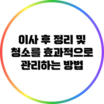 이사 후 정리 및 청소를 효과적으로 관리하는 방법