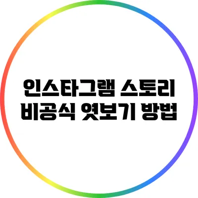 인스타그램 스토리 비공식 엿보기 방법