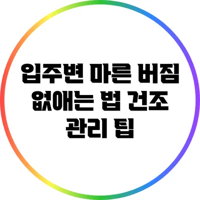 입주변 마른 버짐 없애는 법: 건조 관리 팁