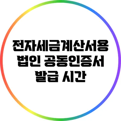 전자세금계산서용 법인 공동인증서 발급 시간