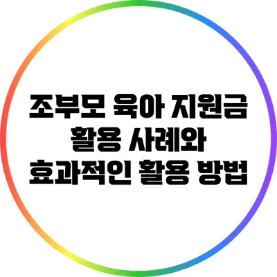조부모 육아 지원금 활용 사례와 효과적인 활용 방법