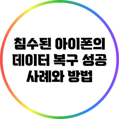 침수된 아이폰의 데이터 복구 성공 사례와 방법