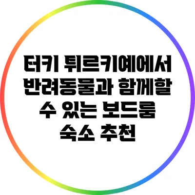 터키 튀르키예에서 반려동물과 함께할 수 있는 보드룸 숙소 추천