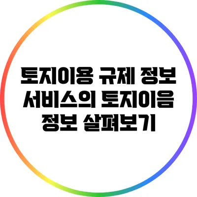 토지이용 규제 정보 서비스의 토지이음 정보 살펴보기