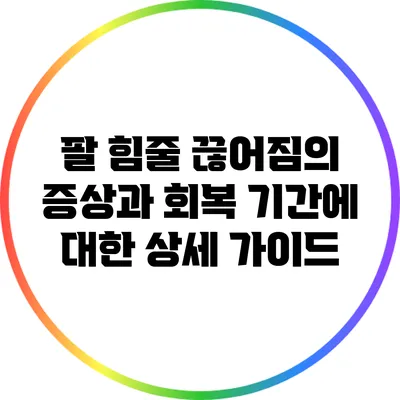 팔 힘줄 끊어짐의 증상과 회복 기간에 대한 상세 가이드