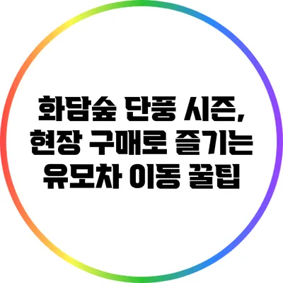 화담숲 단풍 시즌, 현장 구매로 즐기는 유모차 이동 꿀팁