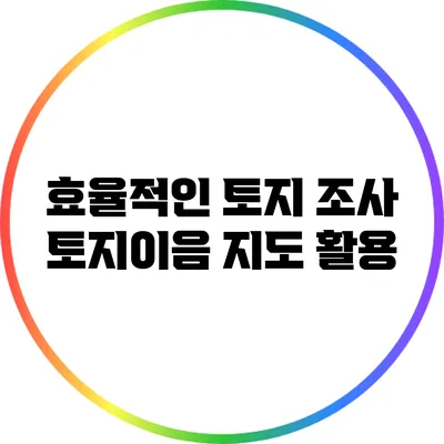 효율적인 토지 조사: 토지이음 지도 활용