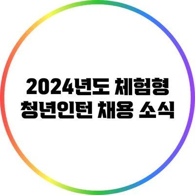 2024년도 체험형 청년인턴 채용 소식