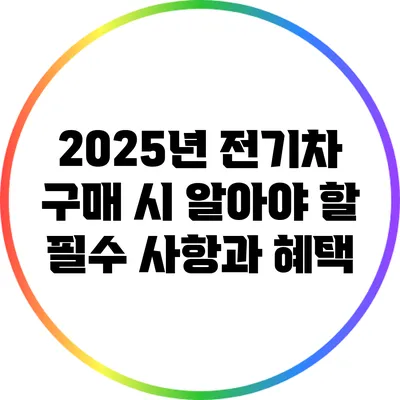 2025년 전기차 구매 시 알아야 할 필수 사항과 혜택