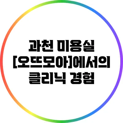 과천 미용실 [오뜨모아]에서의 클리닉 경험
