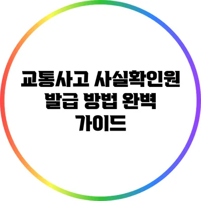 교통사고 사실확인원 발급 방법 완벽 가이드