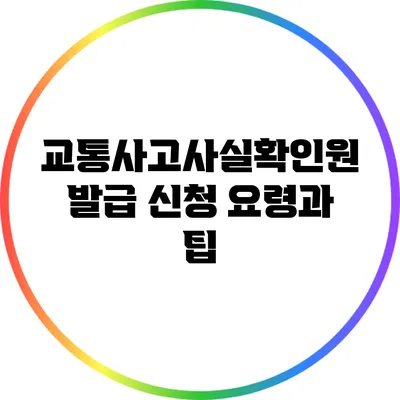 교통사고사실확인원 발급 신청 요령과 팁