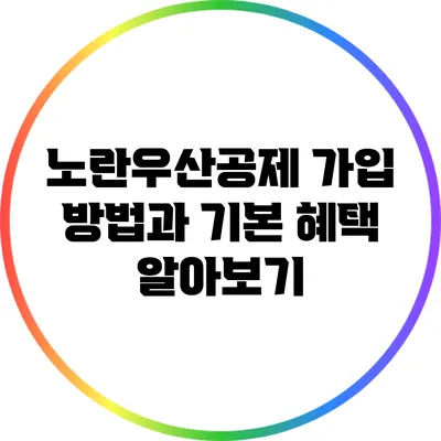 노란우산공제 가입 방법과 기본 혜택 알아보기