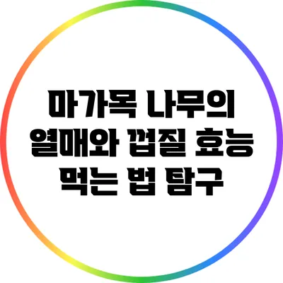 마가목 나무의 열매와 껍질 효능: 먹는 법 탐구