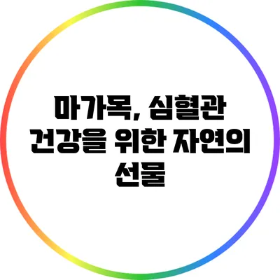 마가목, 심혈관 건강을 위한 자연의 선물