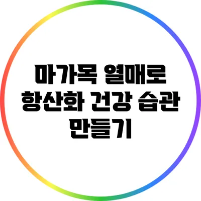 마가목 열매로 항산화 건강 습관 만들기