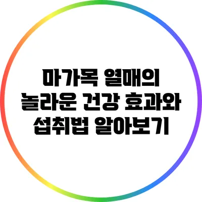 마가목 열매의 놀라운 건강 효과와 섭취법 알아보기