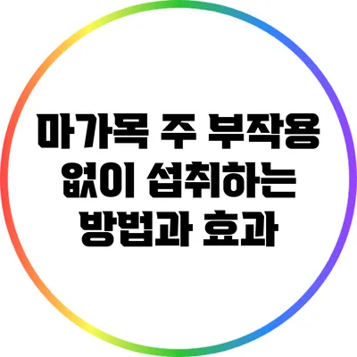 마가목 주: 부작용 없이 섭취하는 방법과 효과