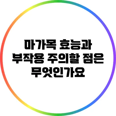 마가목 효능과 부작용: 주의할 점은 무엇인가요?