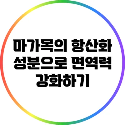 마가목의 항산화 성분으로 면역력 강화하기