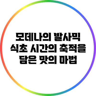 모데나의 발사믹 식초: 시간의 축적을 담은 맛의 마법