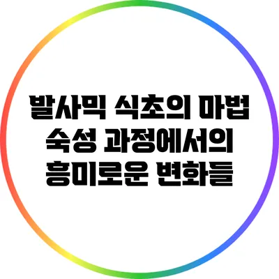 발사믹 식초의 마법: 숙성 과정에서의 흥미로운 변화들