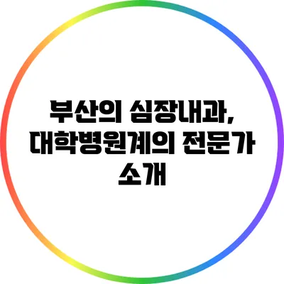 부산의 심장내과, 대학병원계의 전문가 소개